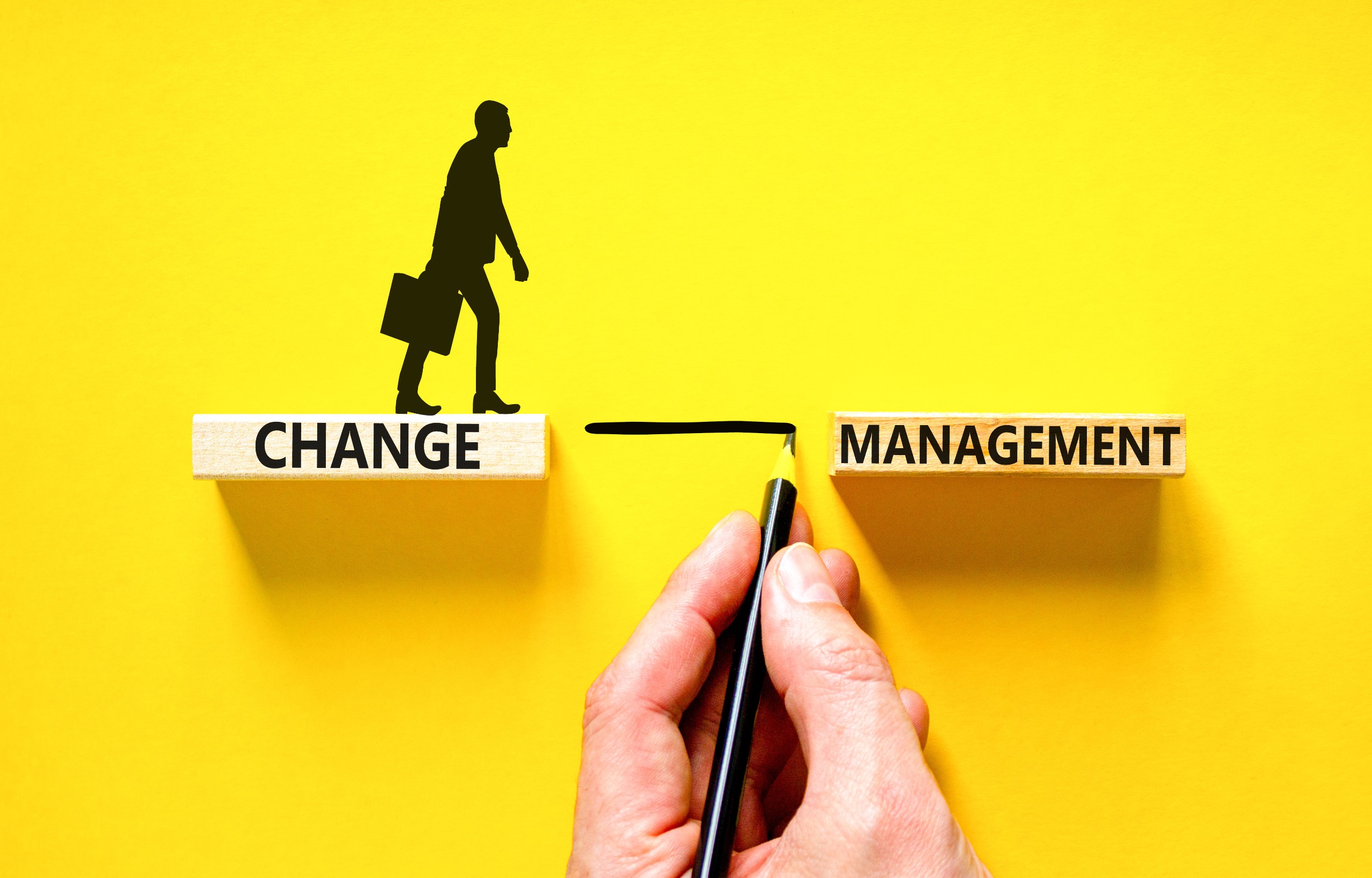 Management de transition
